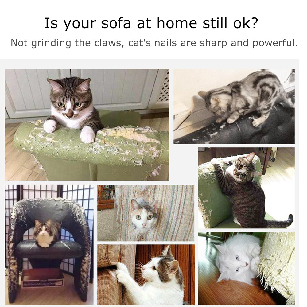 Cat Scratch Pad — Save Your Furniture From Kitty Claws