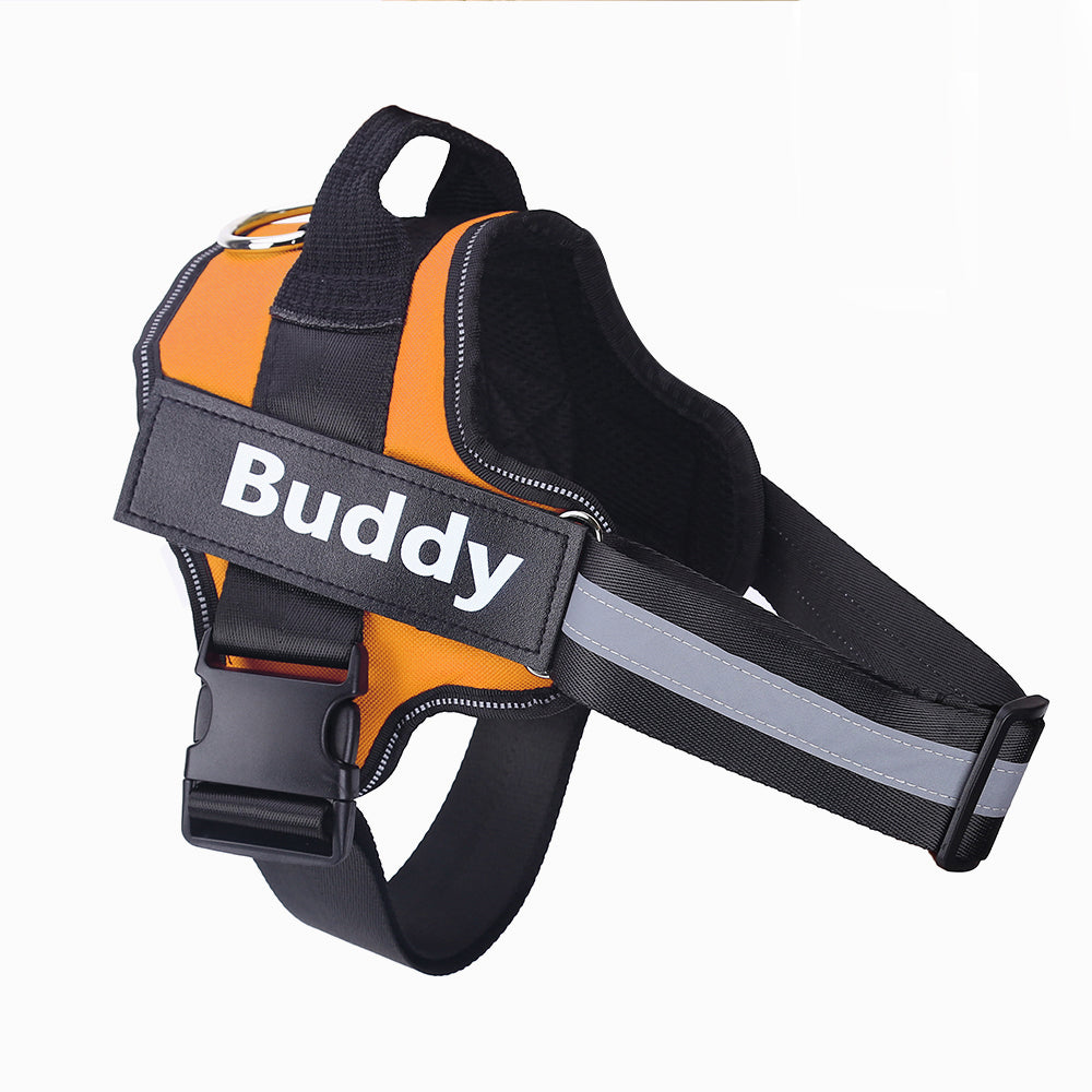 No-Pull Dog Harness with Custom Patch – Walk With Ease