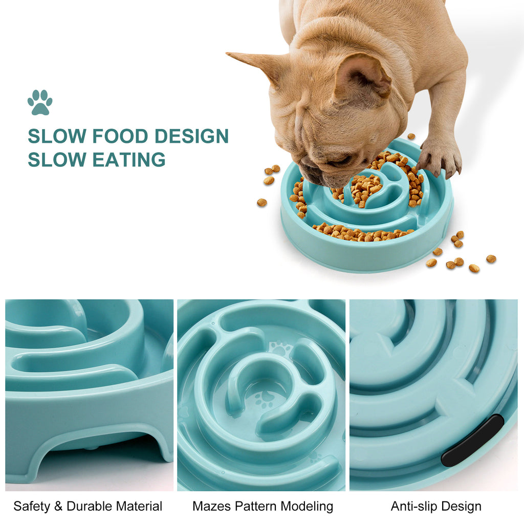 Slow Feeder Dog Bowl for Healthier, Happier Mealtimes