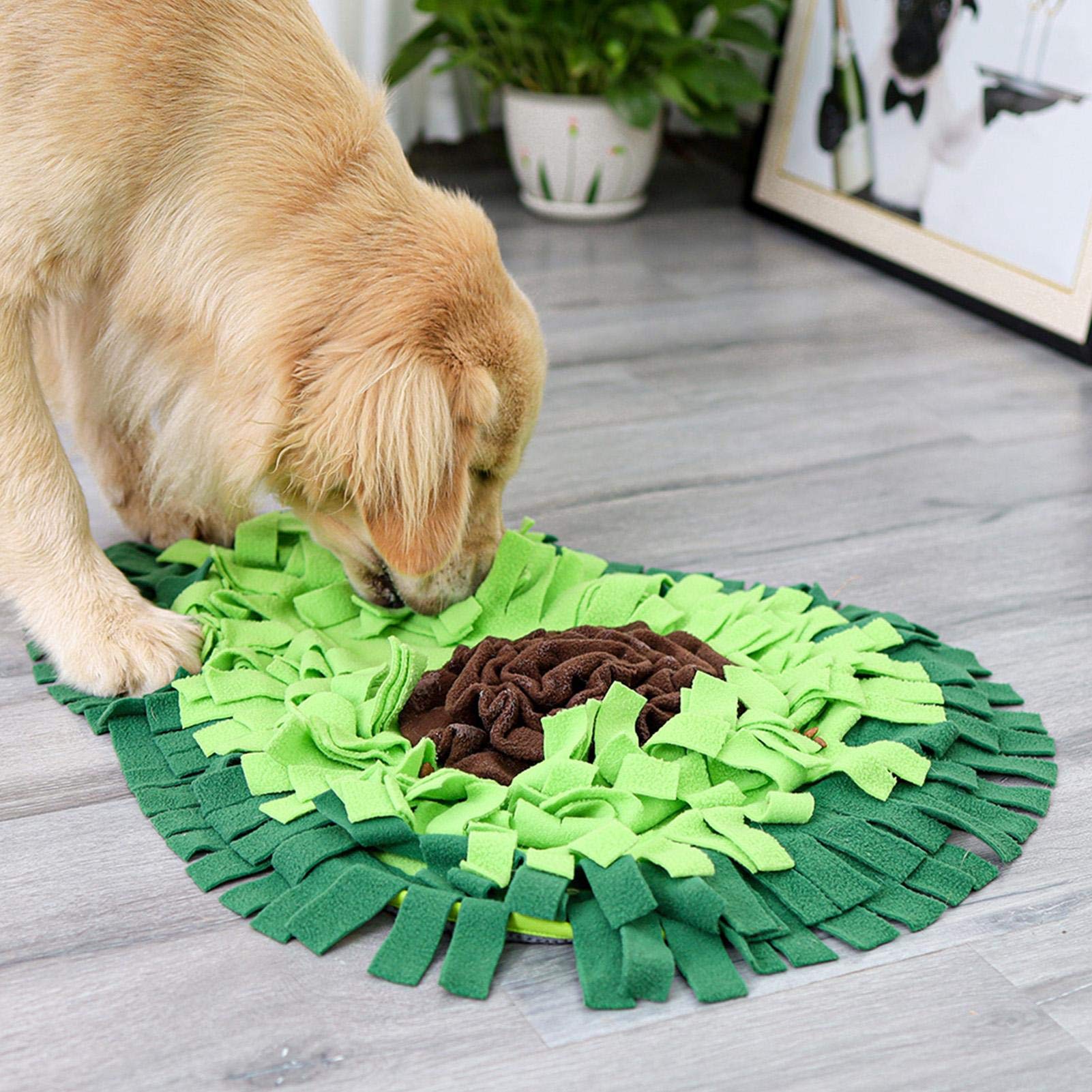 Dog Puzzle Snuffle Mat — Sniff, Play, Eat & Stay Happy