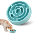 Slow Feeder Dog Bowl for Healthier, Happier Mealtimes