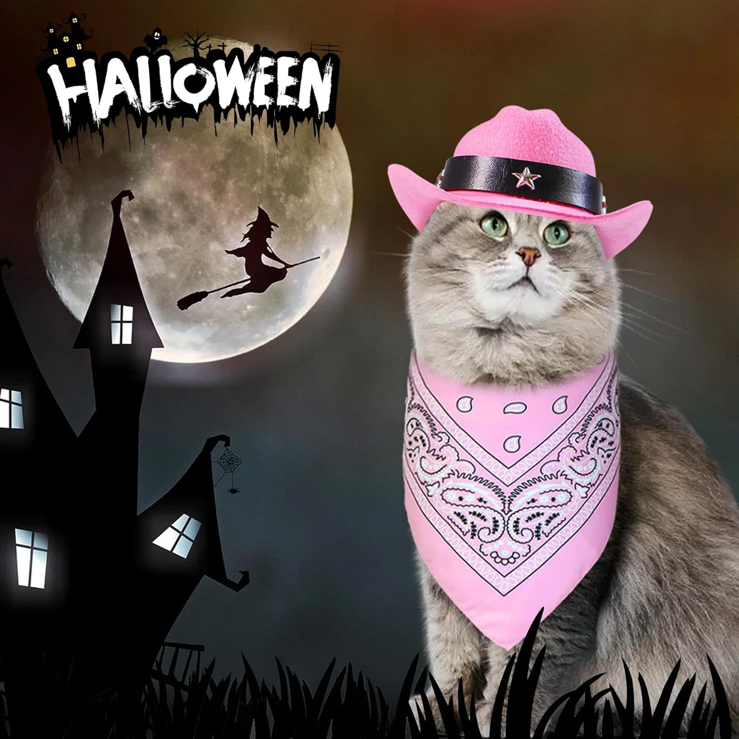Funny Cowboy Pet Costume — The Cutest Halloween Set Ever