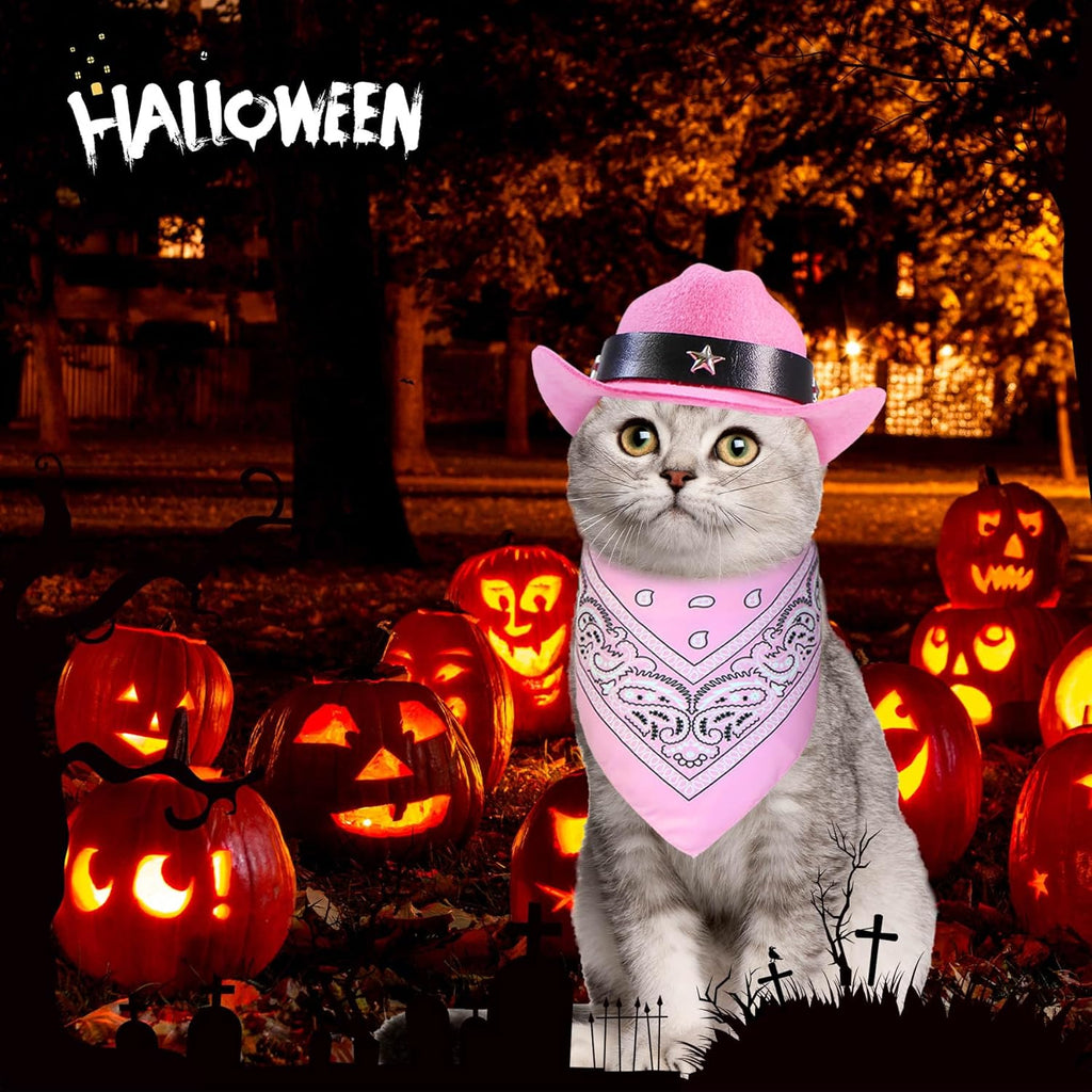 Funny Cowboy Pet Costume — The Cutest Halloween Set Ever