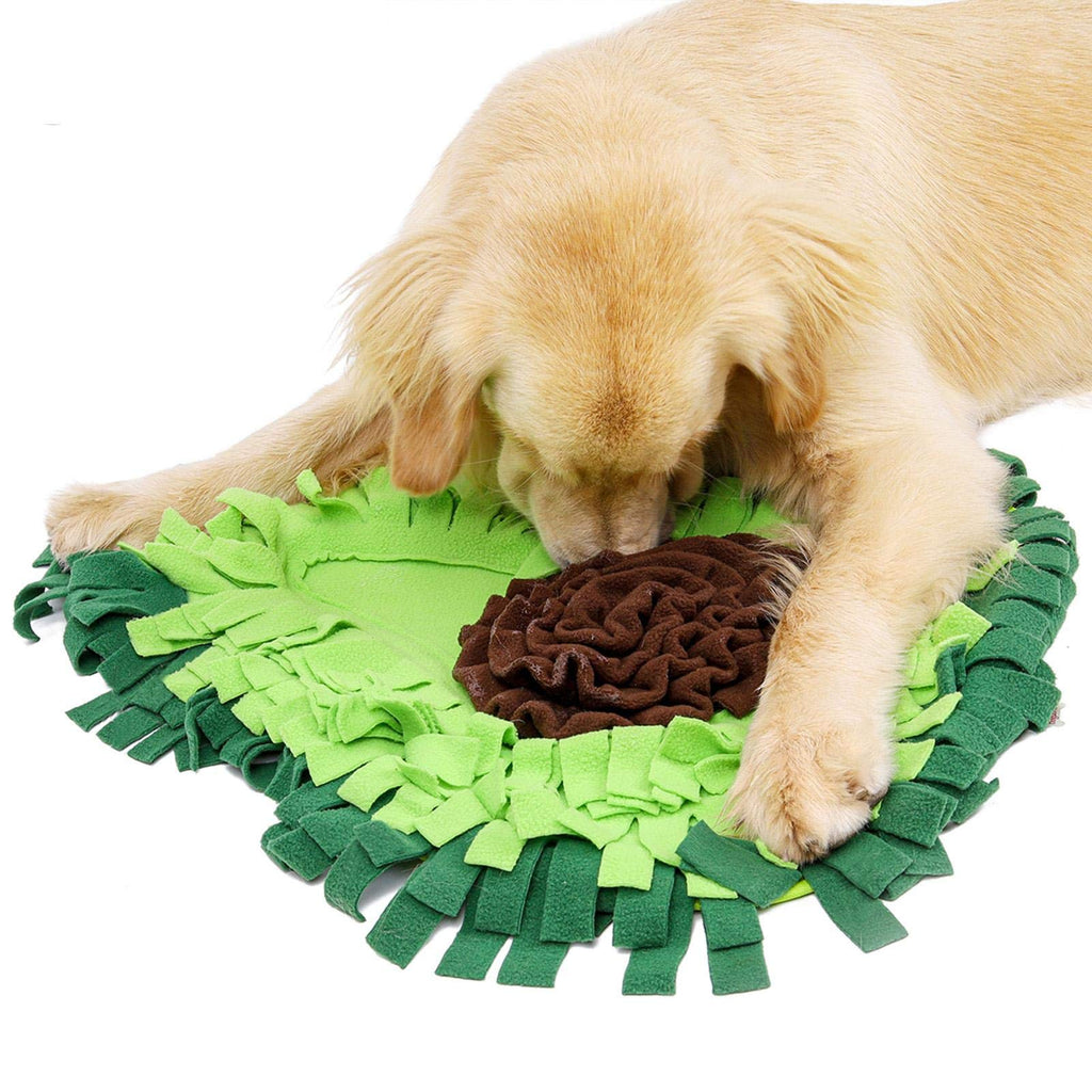 Dog Puzzle Snuffle Mat — Sniff, Play, Eat & Stay Happy