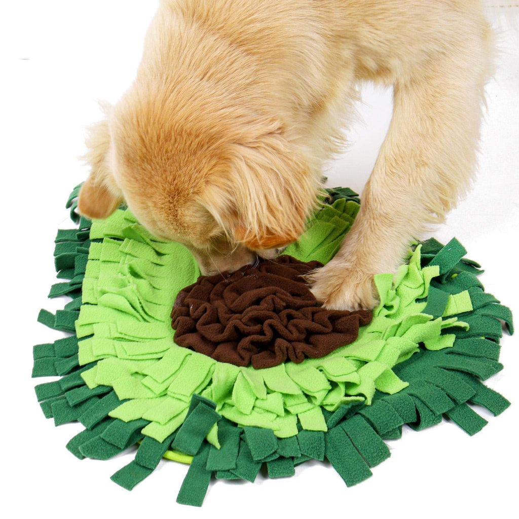 Dog Puzzle Snuffle Mat — Sniff, Play, Eat & Stay Happy