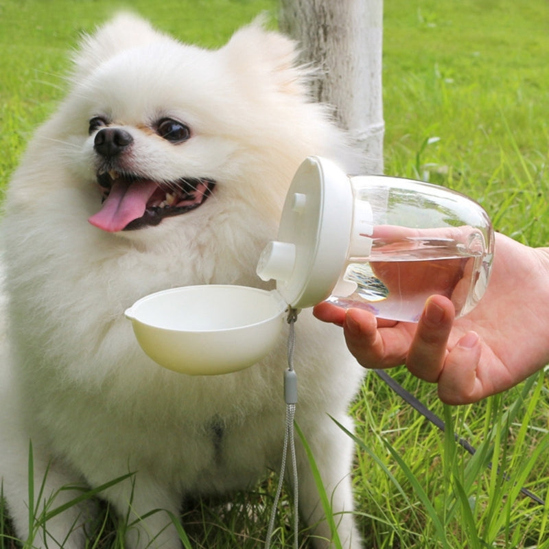 Portable Dog Water Bottle for Easy Hydration Anywhere