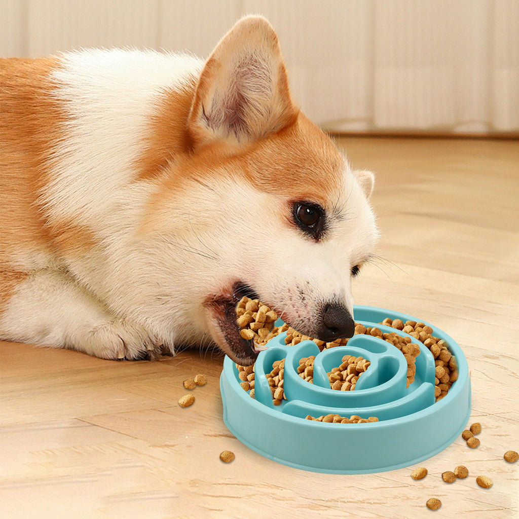 Slow Feeder Dog Bowl for Healthier, Happier Mealtimes