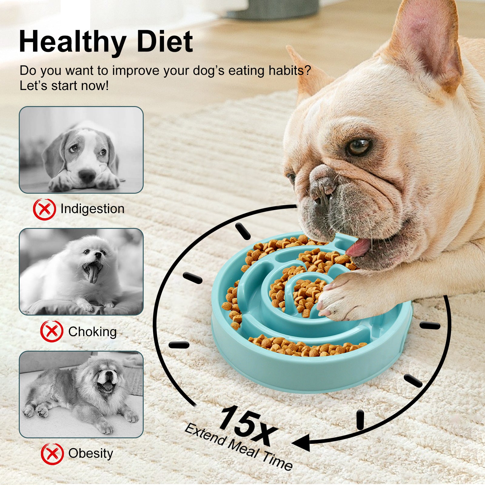 Slow Feeder Dog Bowl for Healthier, Happier Mealtimes