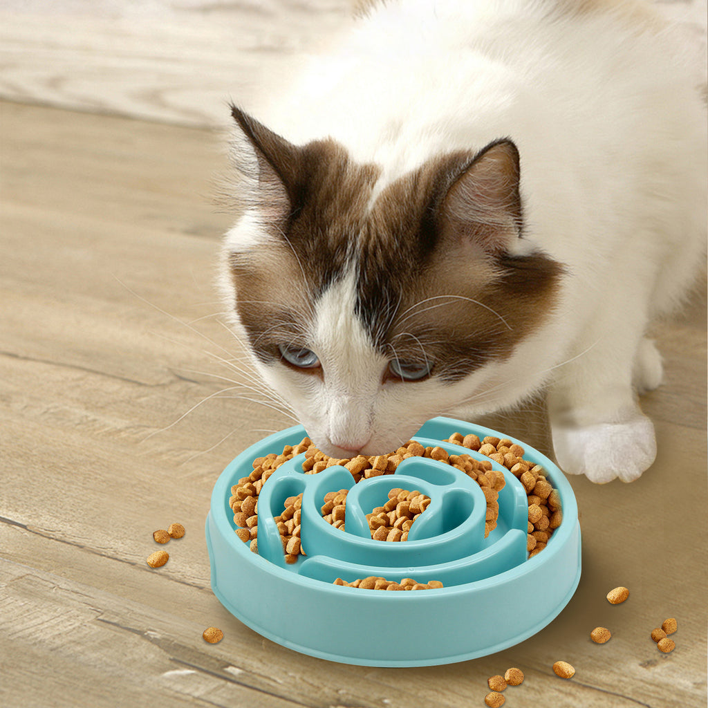 Slow Feeder Dog Bowl for Healthier, Happier Mealtimes