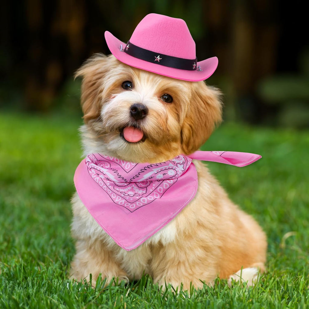 Funny Cowboy Pet Costume — The Cutest Halloween Set Ever