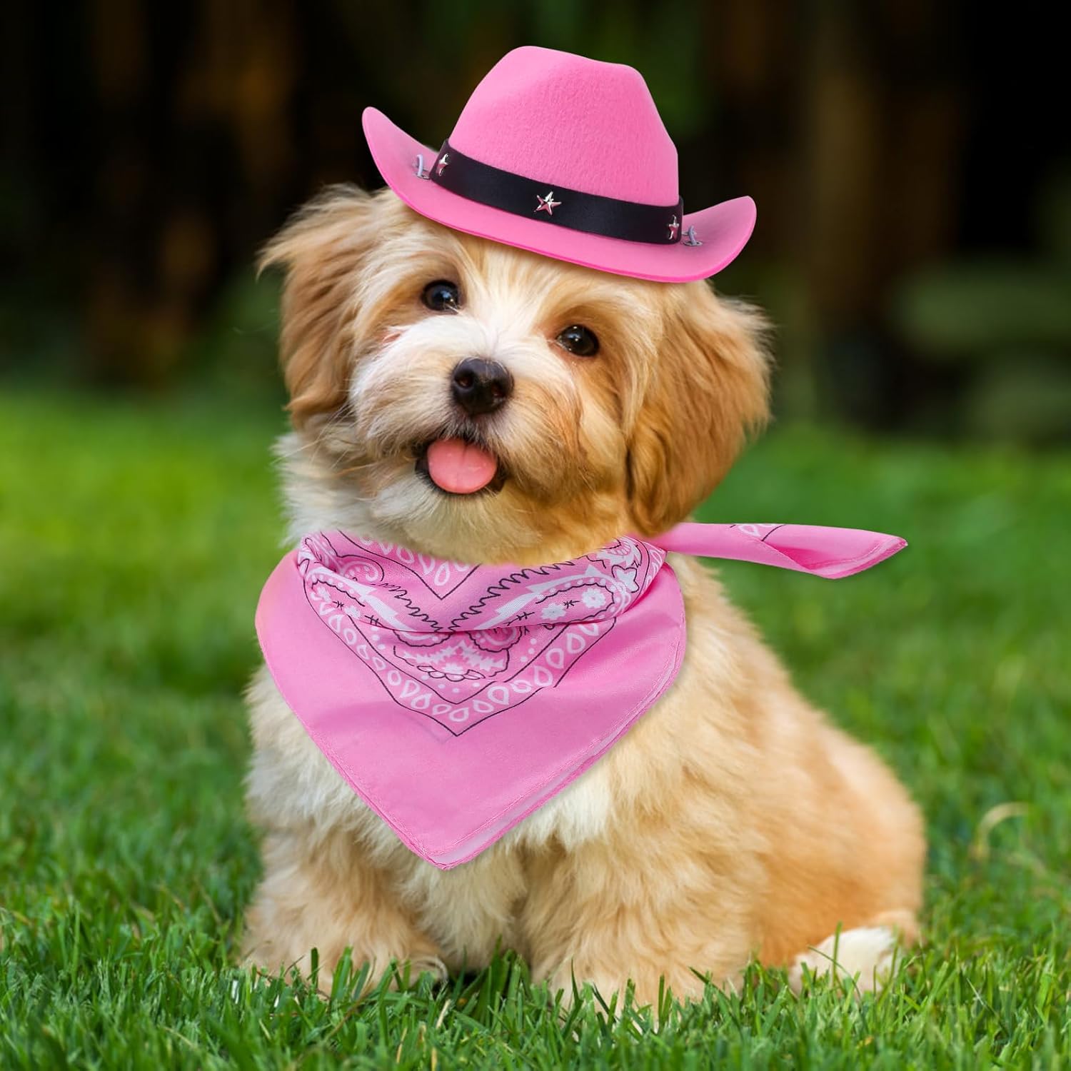 Funny Cowboy Pet Costume — The Cutest Halloween Set Ever